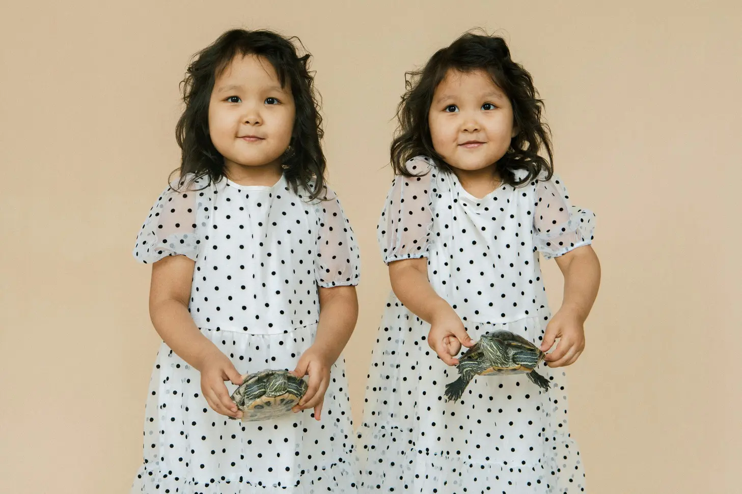 Two young girls holding a turtle in their hands.